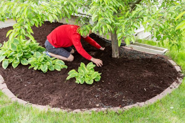 Apartment Mulching