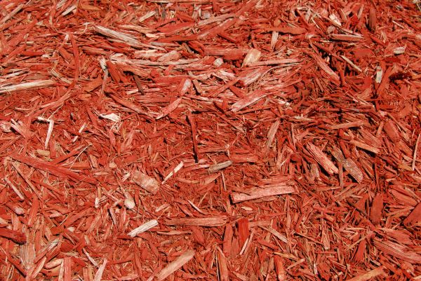 Mulch Gardening