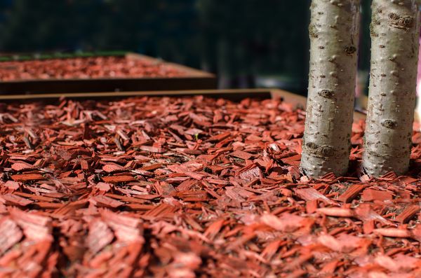 Mulch Gardening