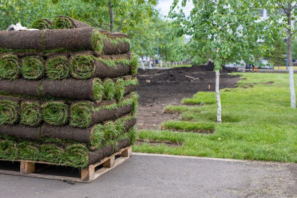 New Grass Installation
