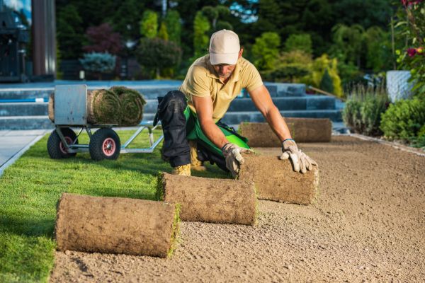 Bahia Lawn Installation