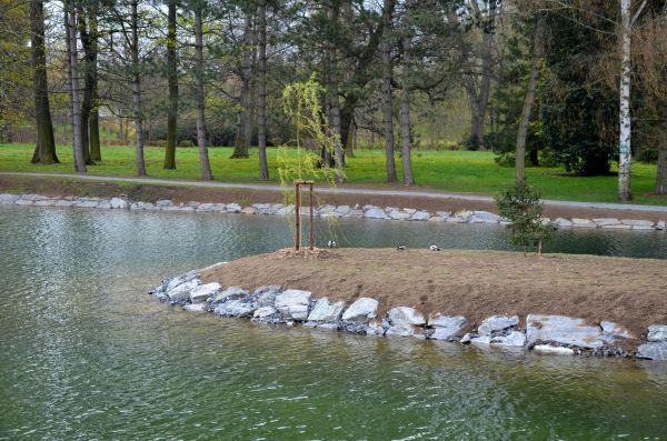 Pond Landscaping Service - Pond Landscaping Service Boca Raton, Florida