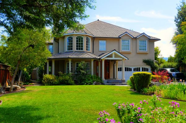 Large Yard Landscaping