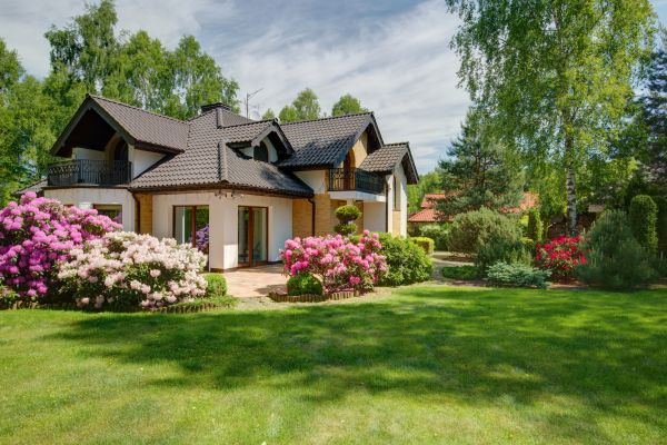 Home Landscape Design
