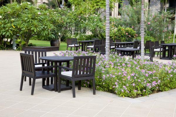 Anthurium Planting