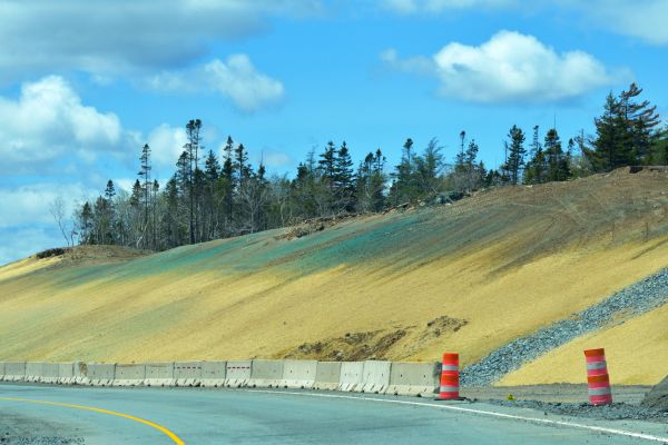 Business Hydroseeding