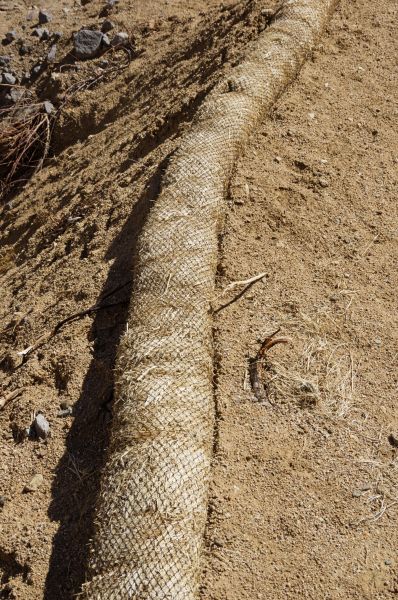 Bark Spreading