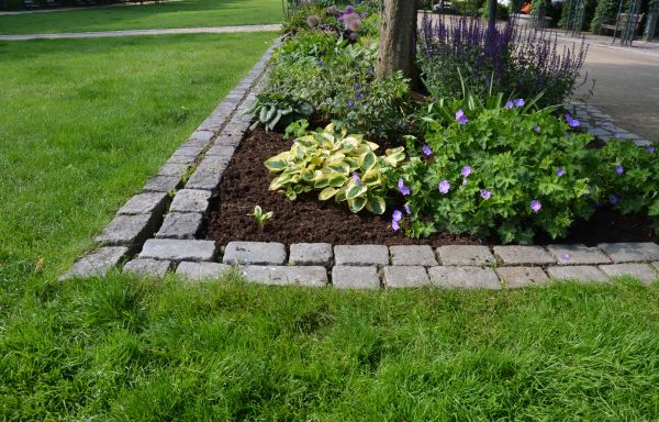 Cement Edging Installation