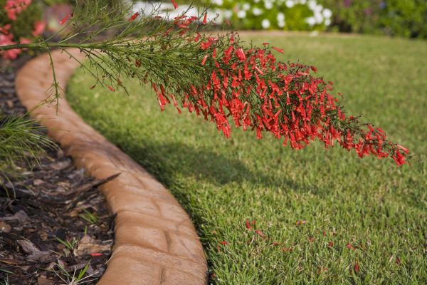 Ornate Landscape Edging - Ornate Landscape Edging Oviedo, Florida