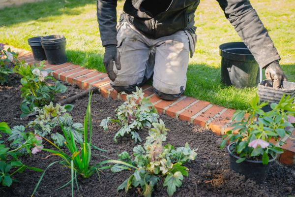 Border Stone Installation