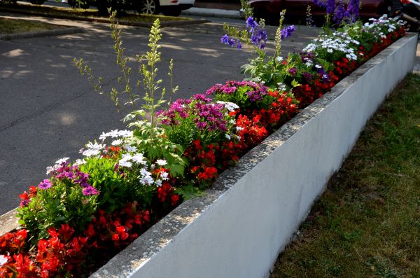 Curbstone Installation