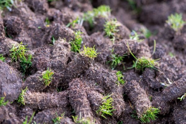 Deep Core Aeration - Deep Core Aeration Boston, Massachusetts