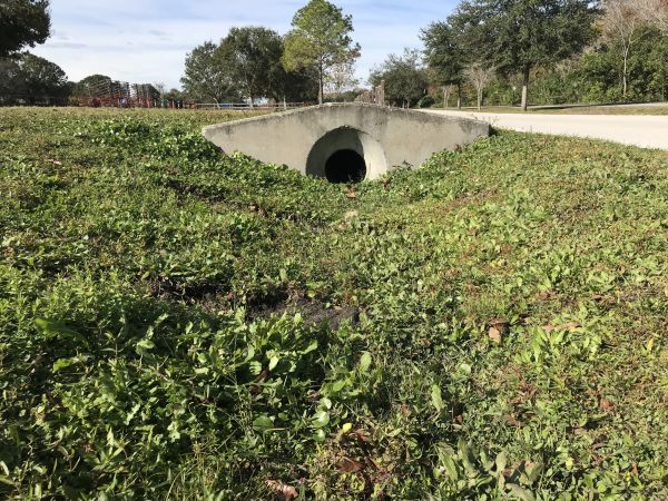 Swale Drainage Service - Swale Drainage Service Crestwood, Kentucky