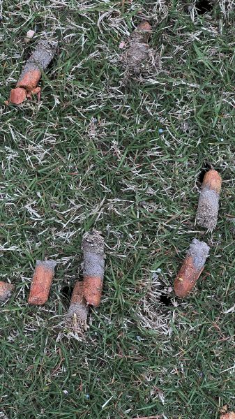 Autumn Lawn Aeration