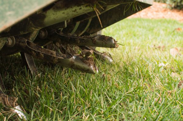 Commercial Grass Aeration
