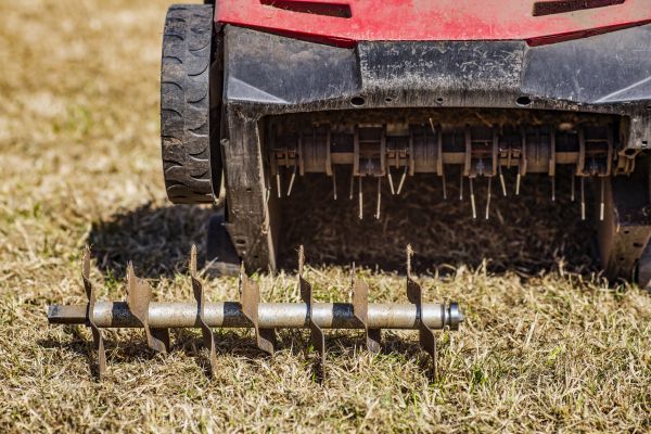 Dethatching Service
