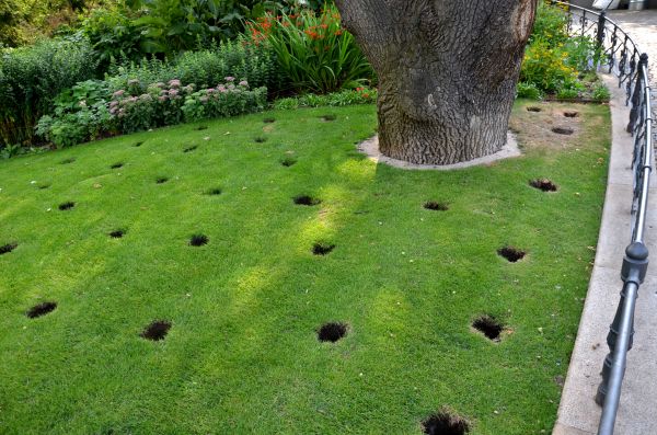 Grass Aeration Service