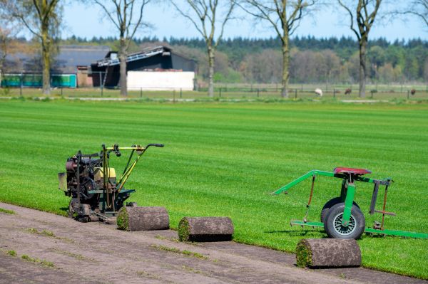 Ryegrass Lawn Installation, Ryegrass Lawn Installation, Alaska