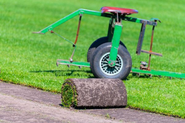 Bentgrass Turf Installation