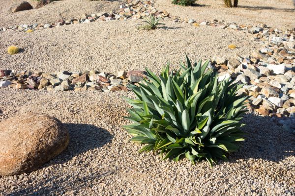 Xeriscaping Service - Xeriscaping Service Boise, Idaho