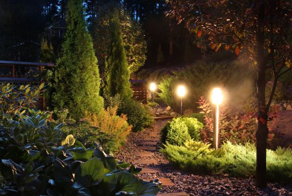 Backyard Lighting Service