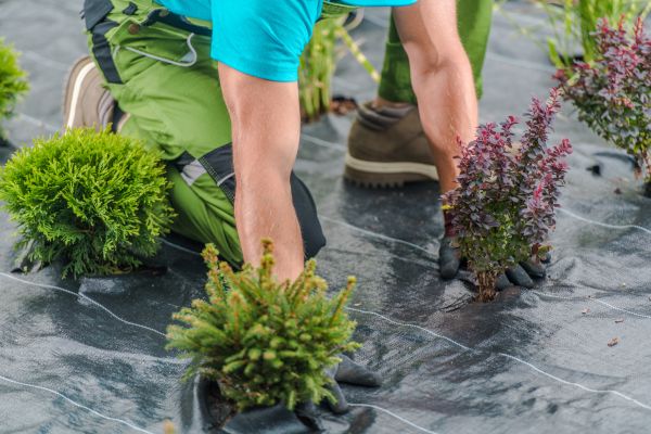 Weed Control Fabric Service - Weed Control Fabric Service Bellingham, Washington