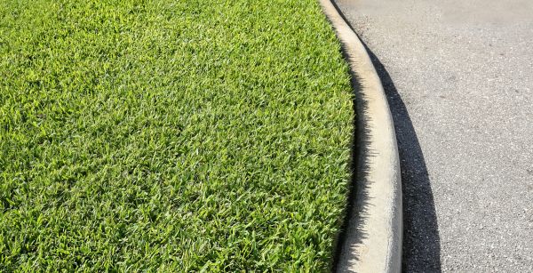 Bermuda Grass Installation
