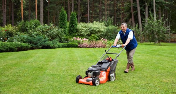 Home Lawn Maintenance