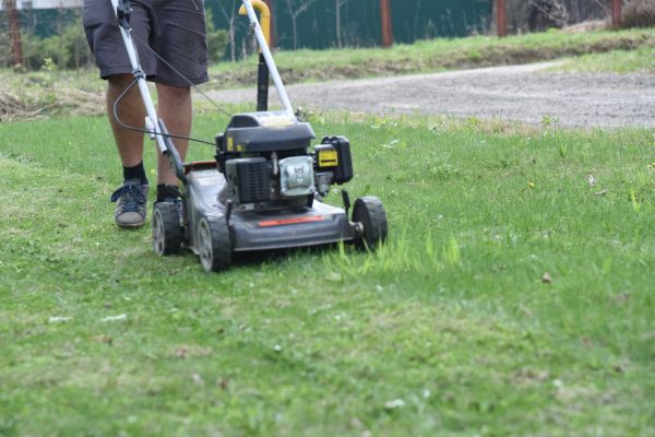 Grass Care Service