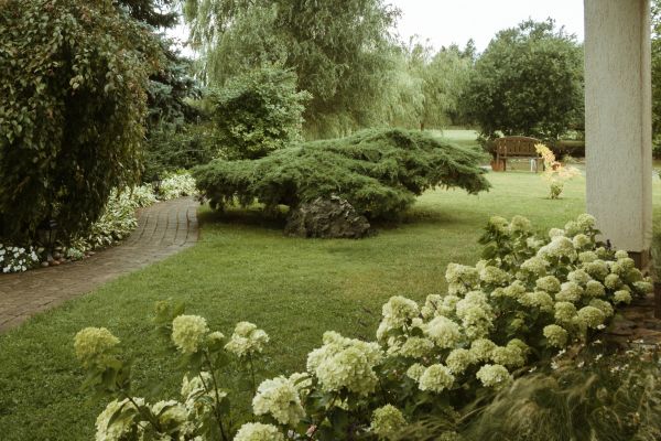 Bush Planting Service