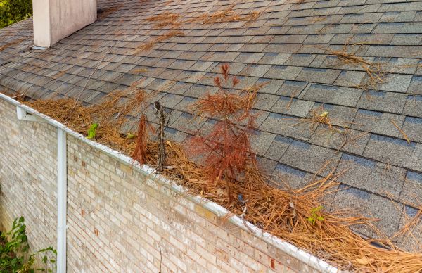 Fall Yard Cleanup Service