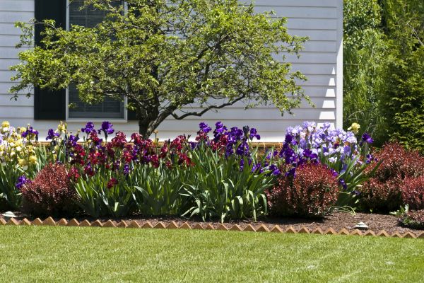 Flower Bed Clearing