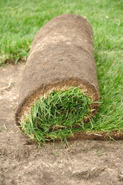 Front Lawn Sodding - Front Lawn Sodding Middleton, Wisconsin
