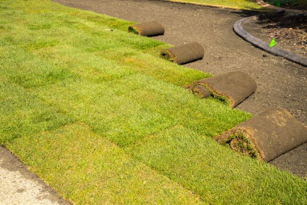 Bermuda Sod Installation