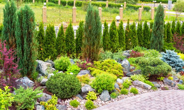 Backyard Remodeling