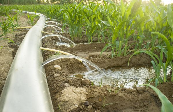 Commercial Irrigation Service
