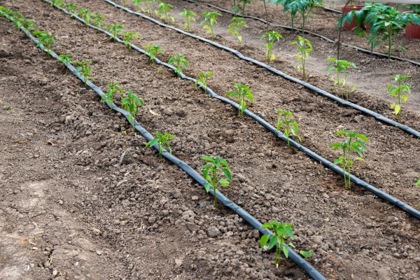 Commercial Irrigation Service