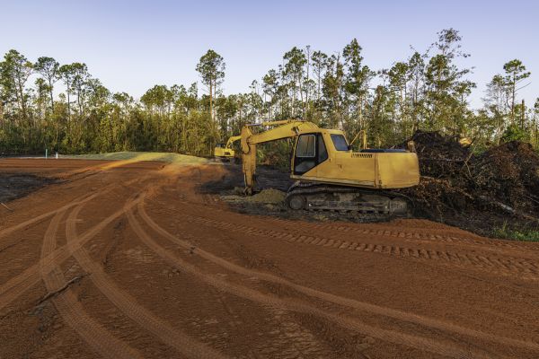 Bulldozer Clearing
