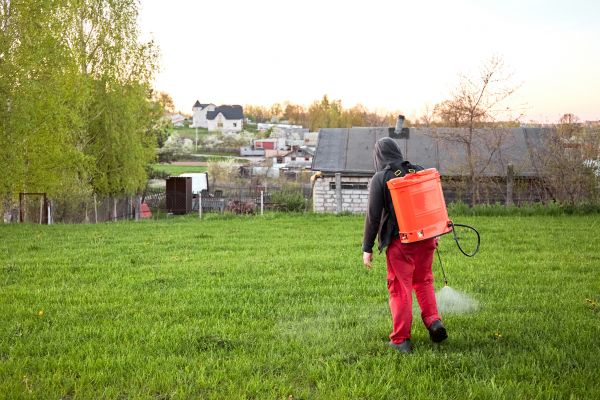 Lawn Treatment Application - Lawn Treatment Application Lynnwood, Washington
