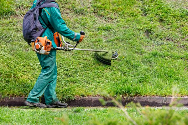 Hill Trimming - Hill Trimming Olympia, Washington
