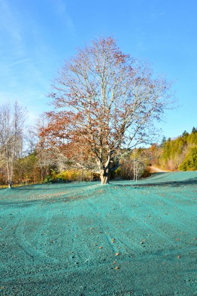 Erosion Control Hydroseeding