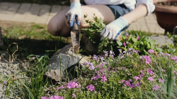Bulk Mulch Application