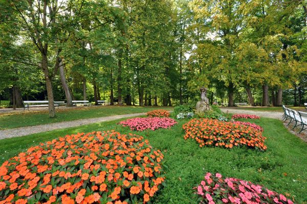 Flower Beds Installation