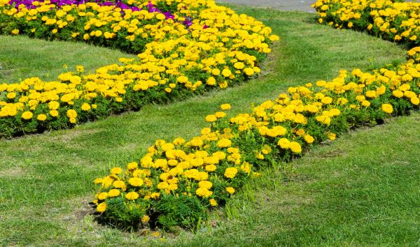 Floral Beds Installation - Floral Beds Installation New Lenox, Illinois