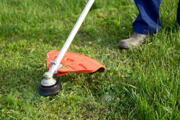 Lawn Weed Whacking - Lawn Weed Whacking Navarre, Florida