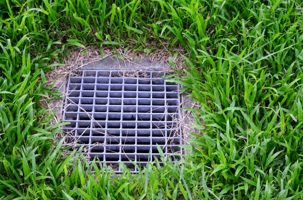 Backyard Drainage Repair