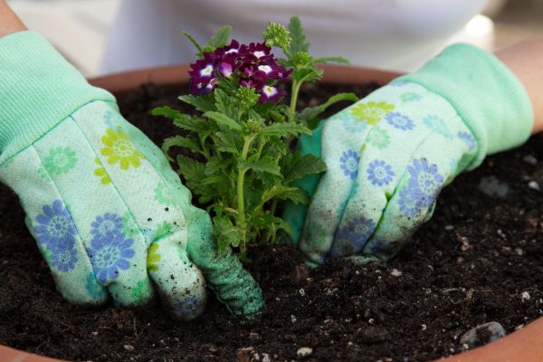 Flower Bed Installation