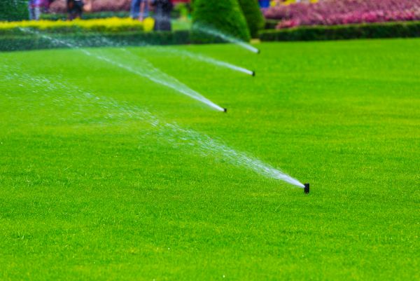 Grass Sprinkler Installation
