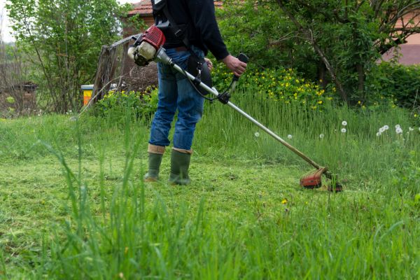 Green Space Maintenance