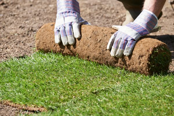 Bahia Sod Installation